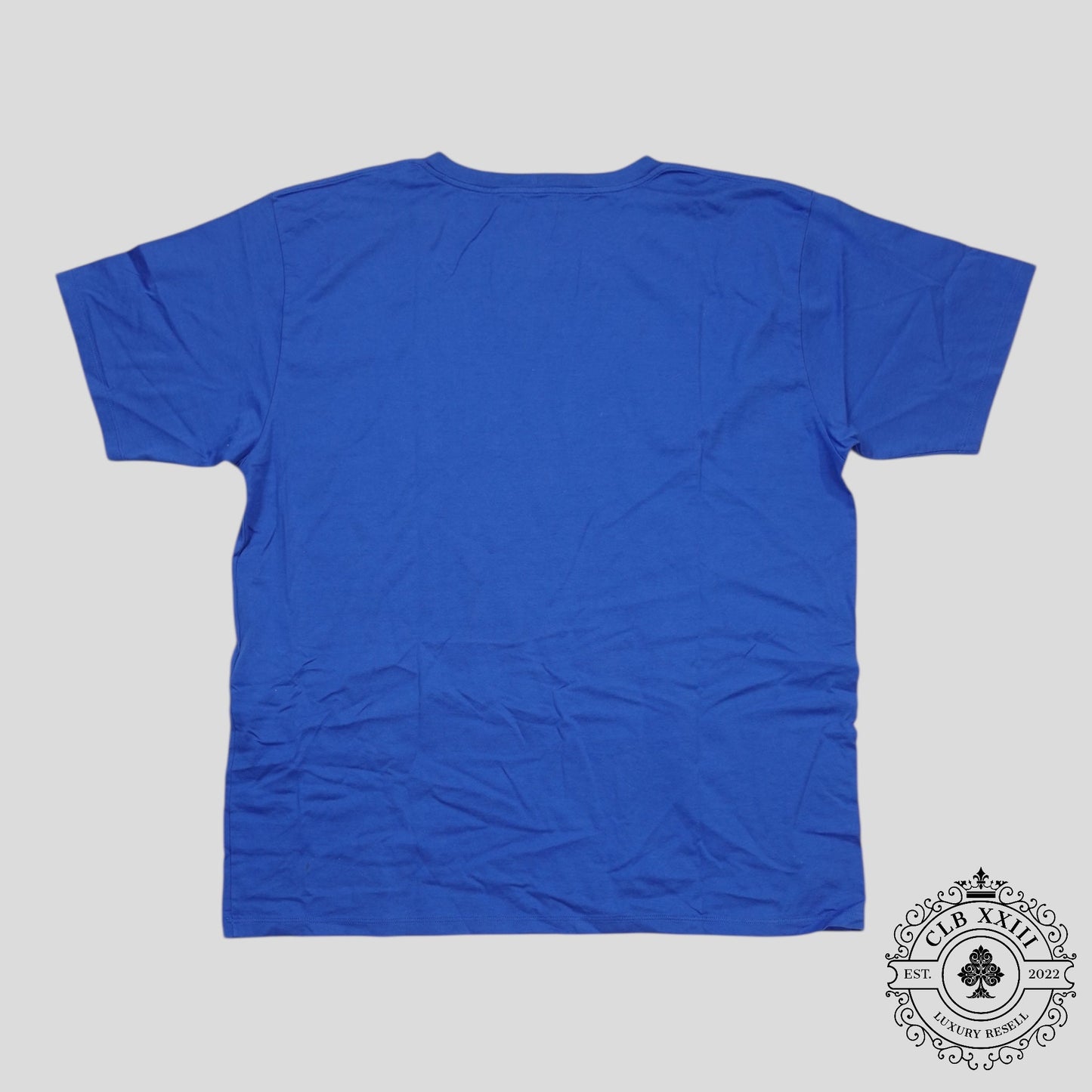 Celine Homme Logo Tee in Blue