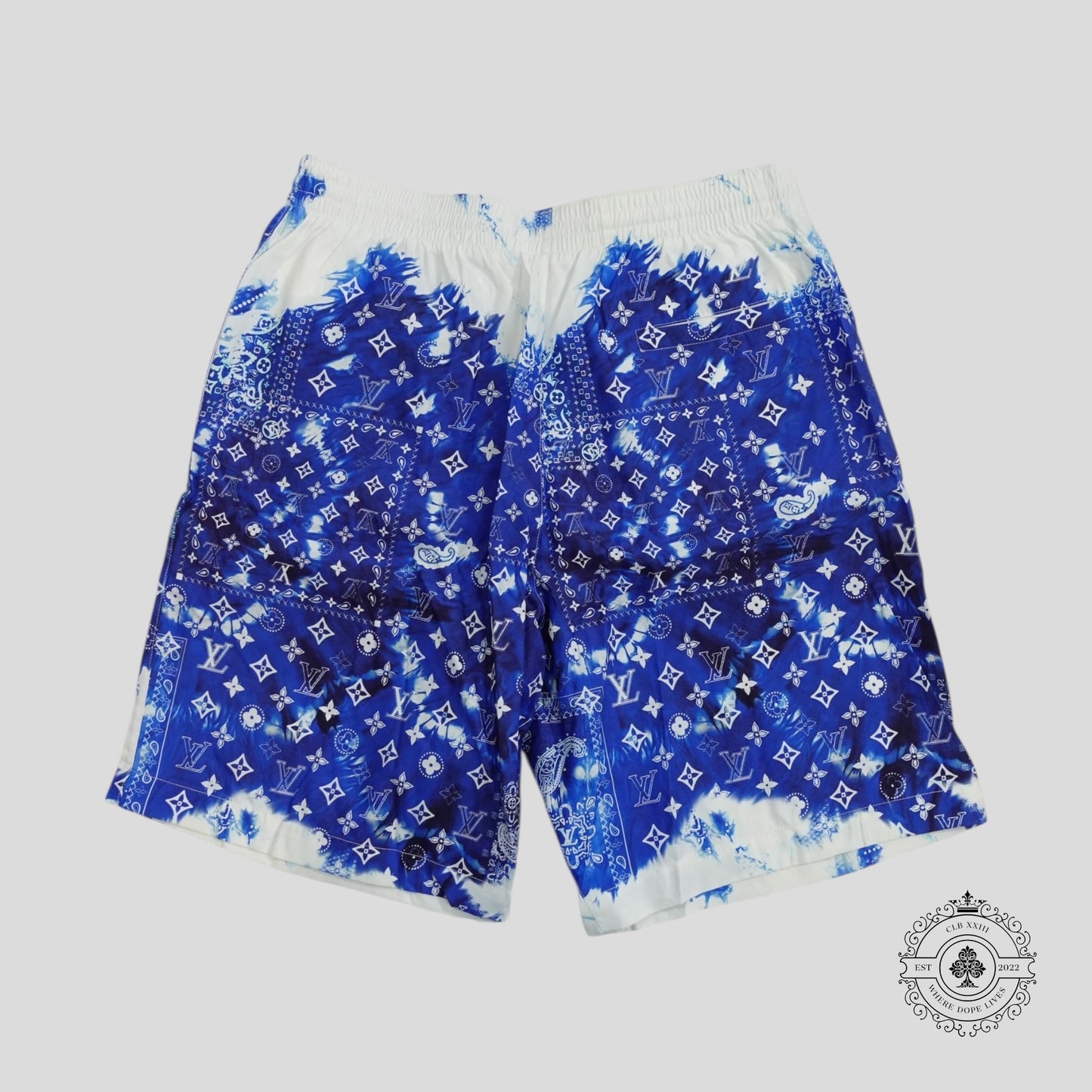Louis Vuitton Bandana Swim Shorts in Blue