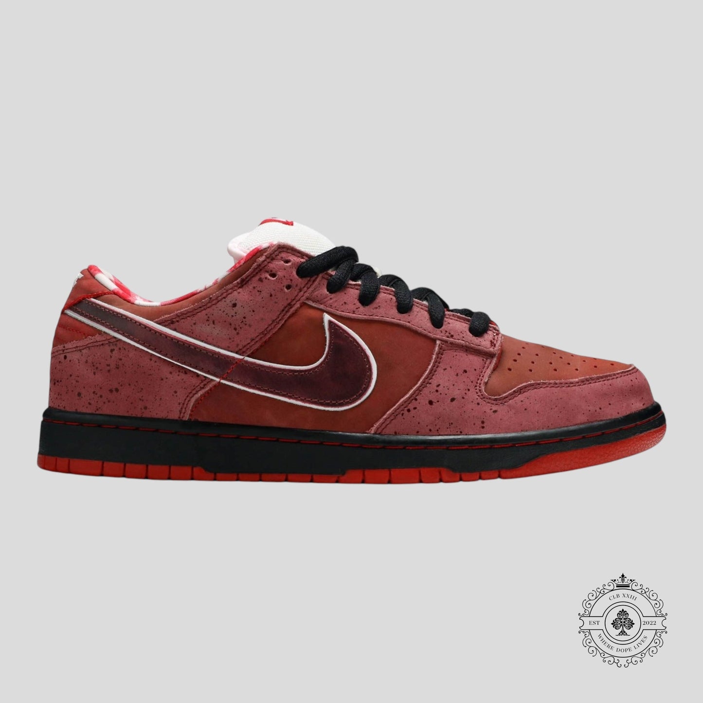 Nike SB Dunk Low Concepts Red Lobster