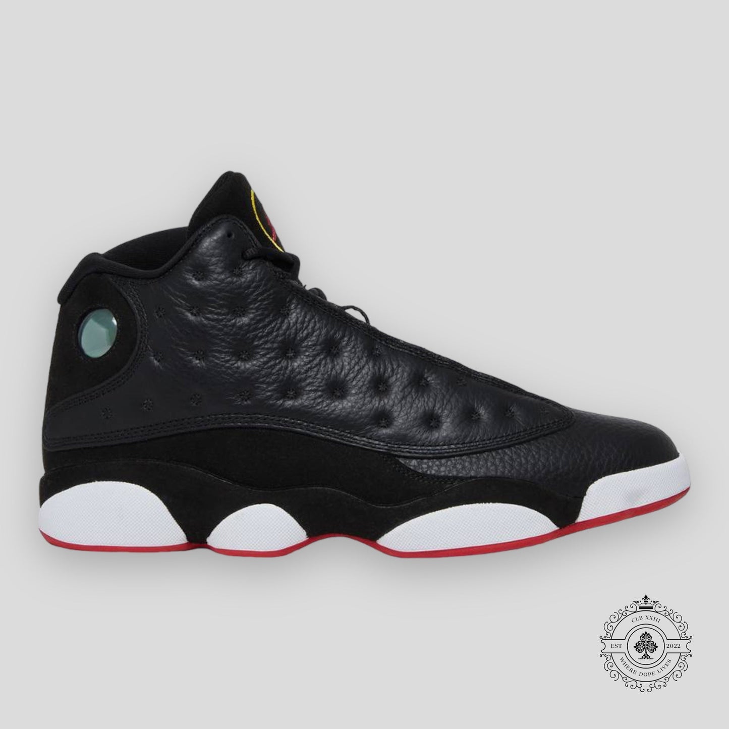Air Jordan 13 Retro Playoff
