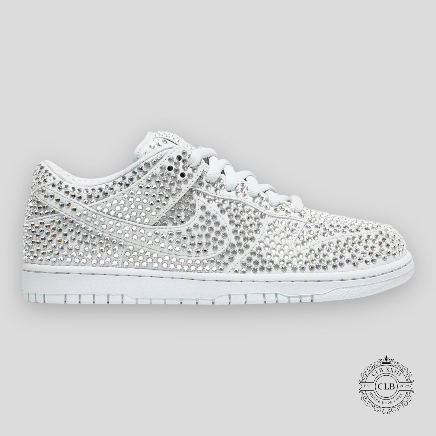 NIKE DUNK LOW X CPFM "PURE PLATINUM"