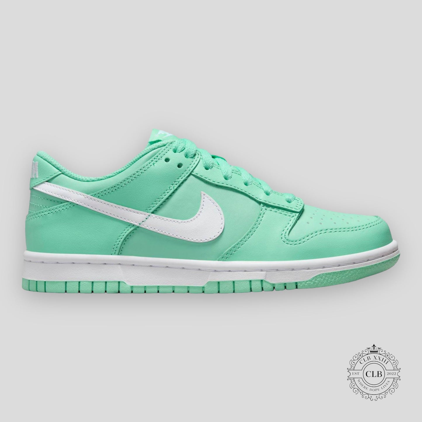 NIKE DUNK LOW (GS) "EMERALD"