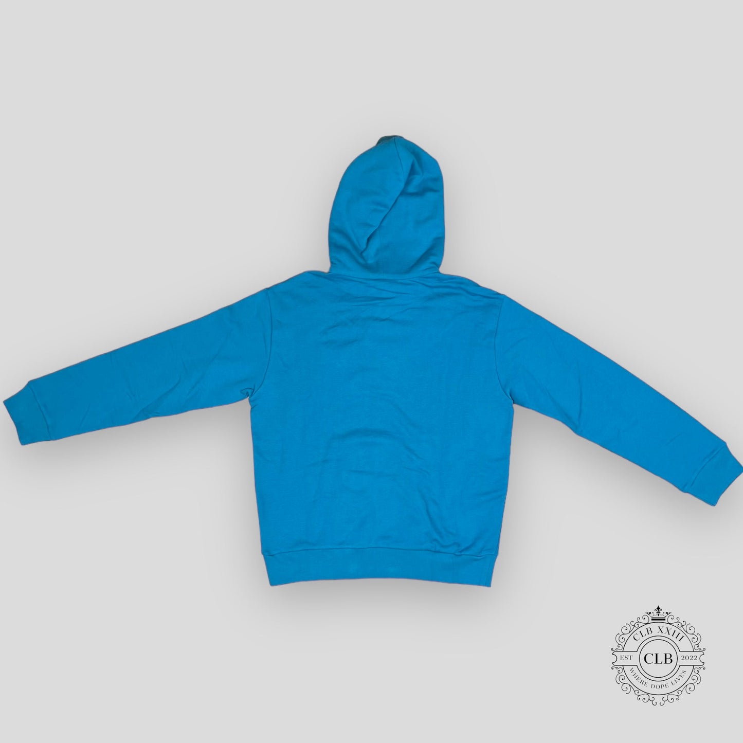 LOUIS VUITTON EMBROIDERED SIGNATURE COTTON HOODIE - PIGEON BLUE