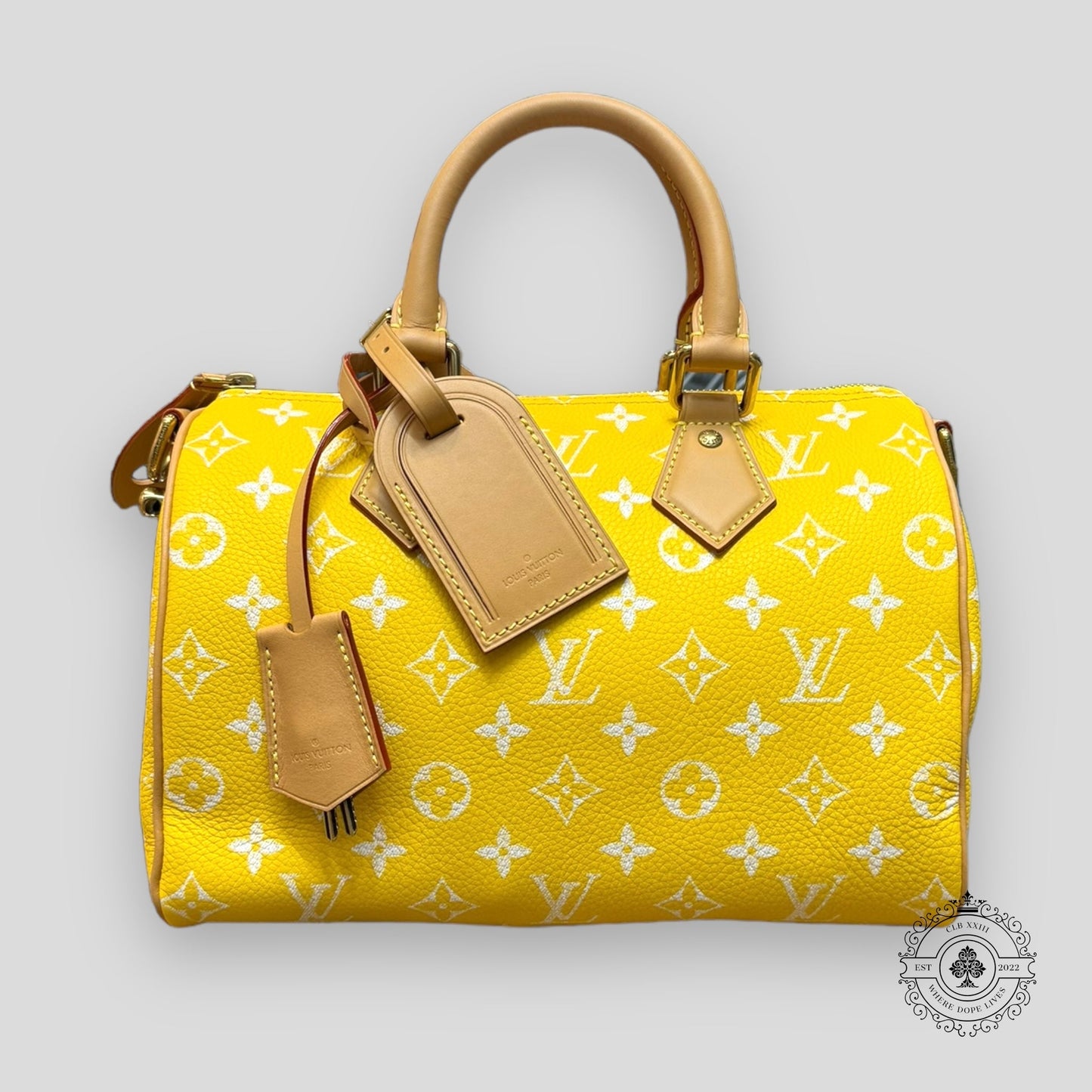 Louis Vuitton Speedy P9 Bandoulière 25 in Yellow