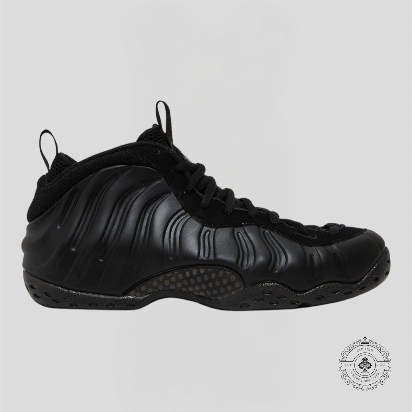 Nike Air Foamposite One Anthracite (2023)