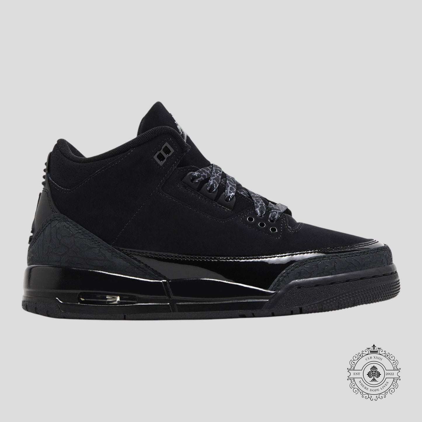 Air Jordan 3 Retro Black Cat (2025)