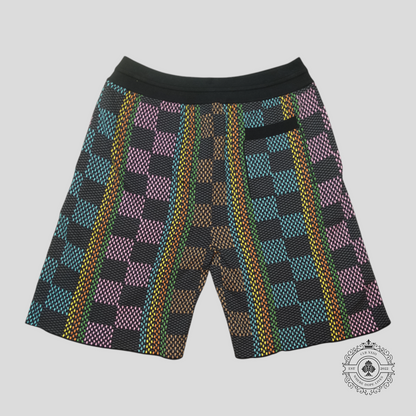 Louis Vuitton Damier Jacquard Shorts in Black/Multicolor