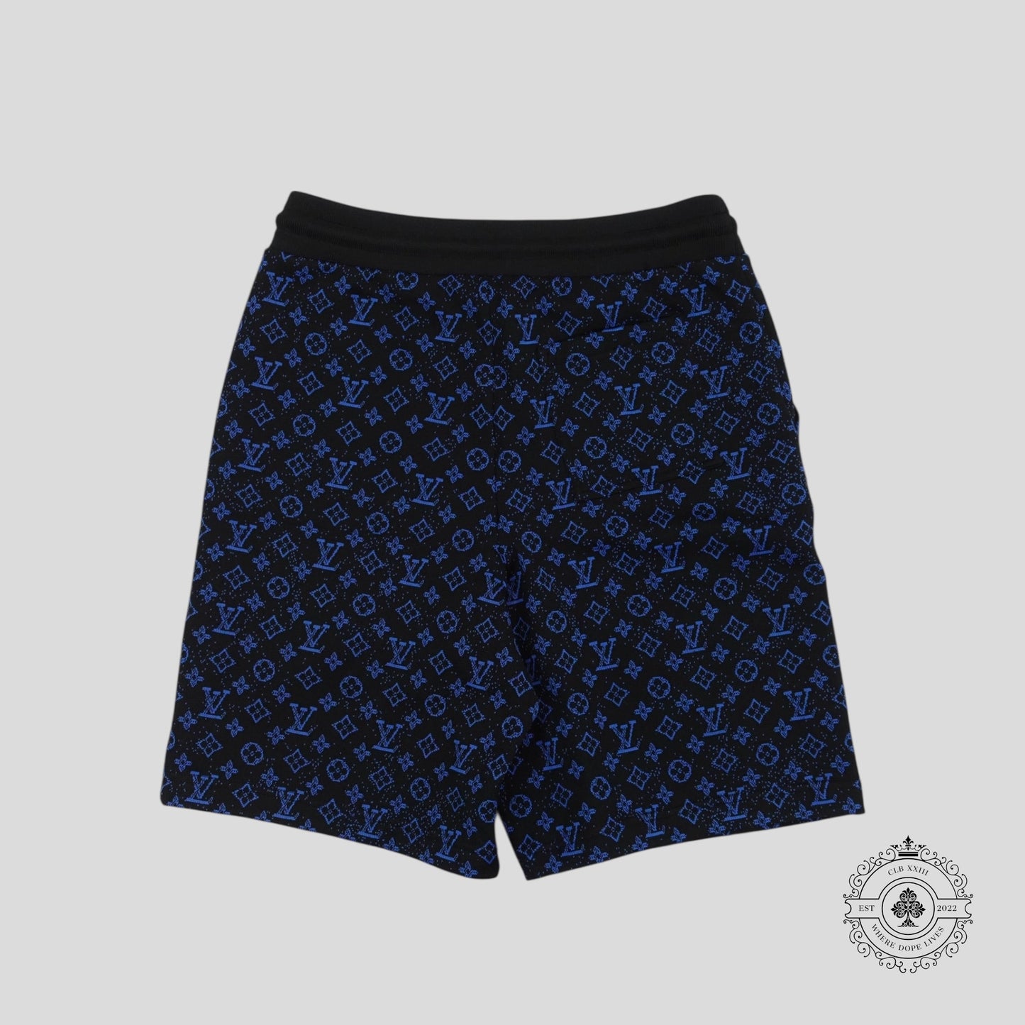 Louis Vuitton Monogram Technical Shorts in Black/Blue