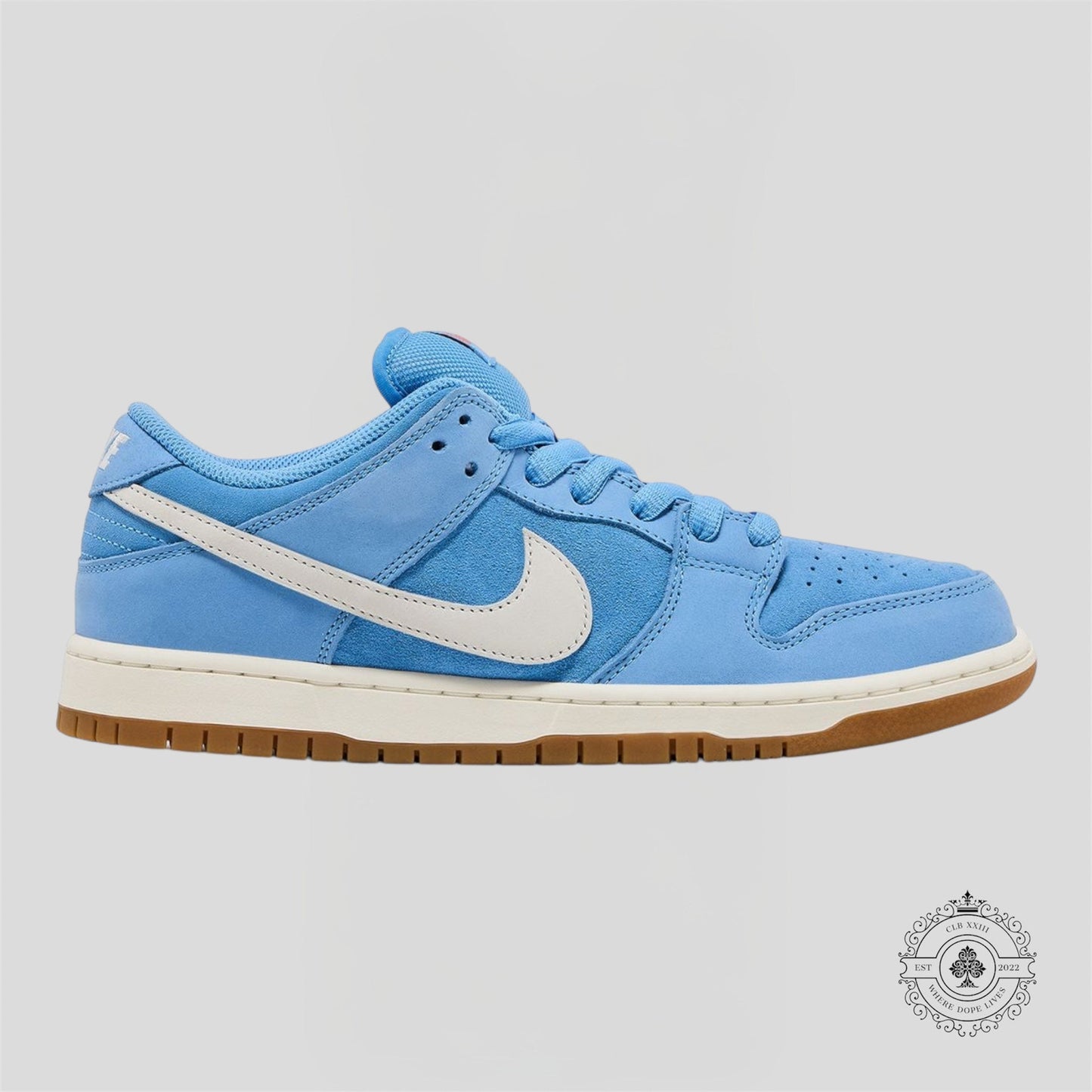 Nike SB Dunk Low Pro University Blue Gum