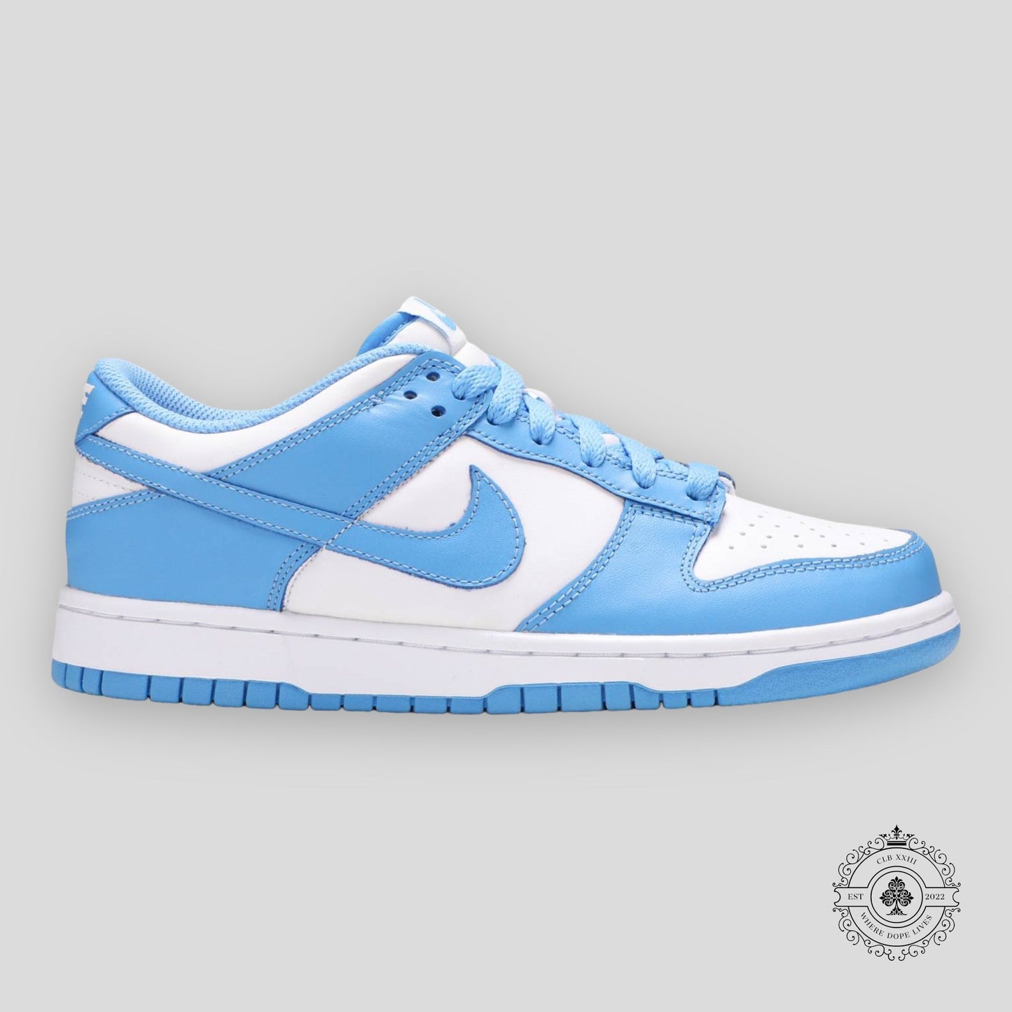 Nike Dunk Low GS “UNC”