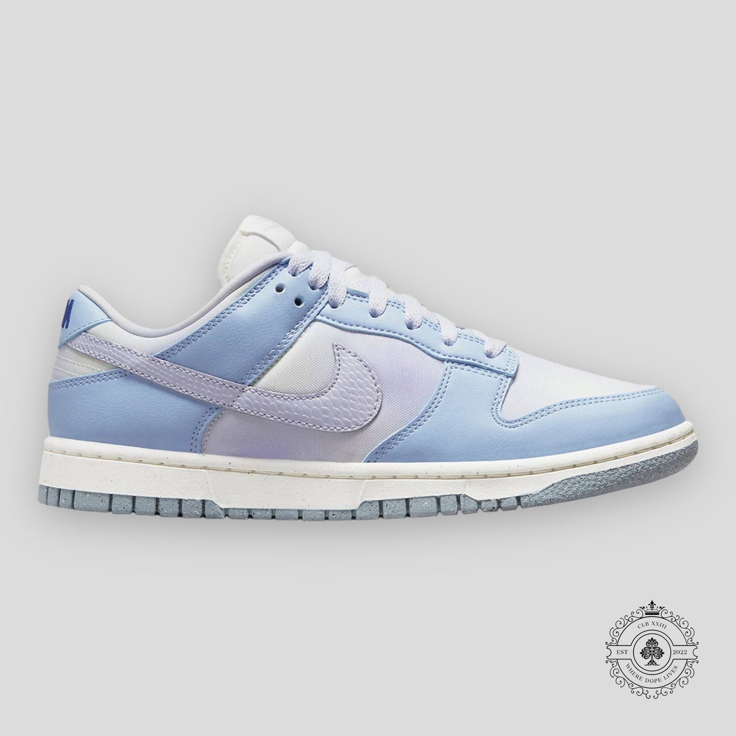 Nike Dunk Low W Blue Airbrush Canvas