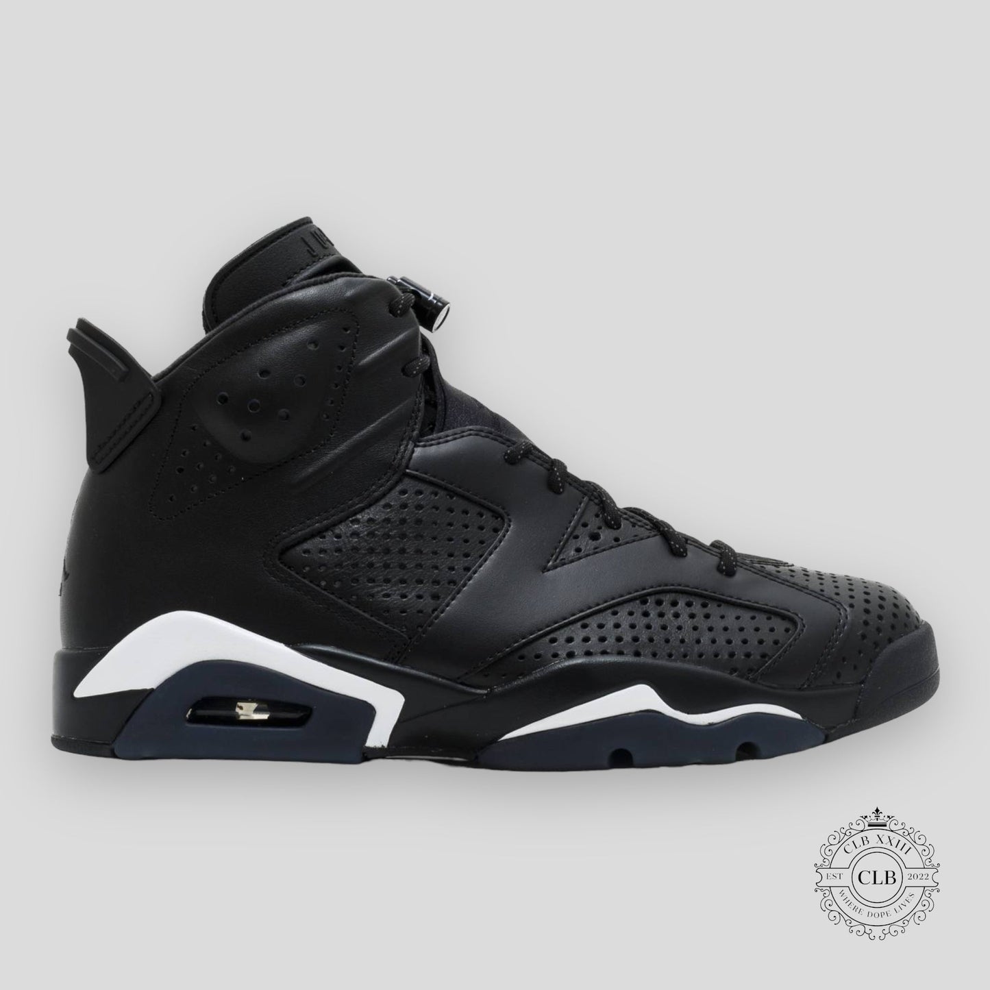 AIR JORDAN 6 RETRO "BLACK CAT"