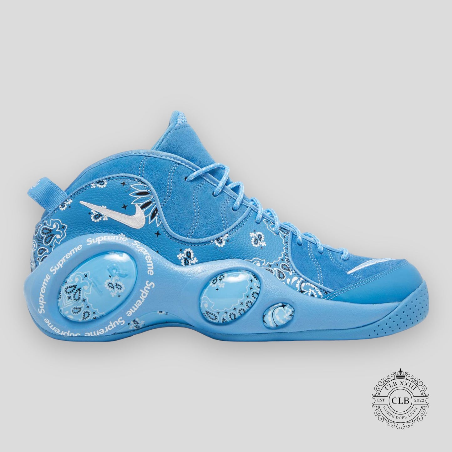 NIKE AIR ZOOM FLIGHT '95 X SUPREME "UNIVERSITY BLUE"